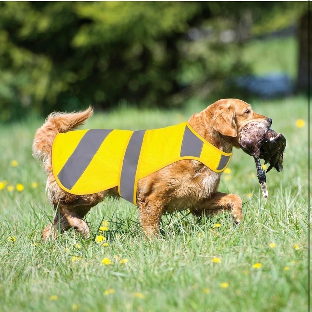 Dog Vest High Visibility Safety, Dog Hunting Vest, Dog Jacket Soft Adjustable - Picture 2 of 11
